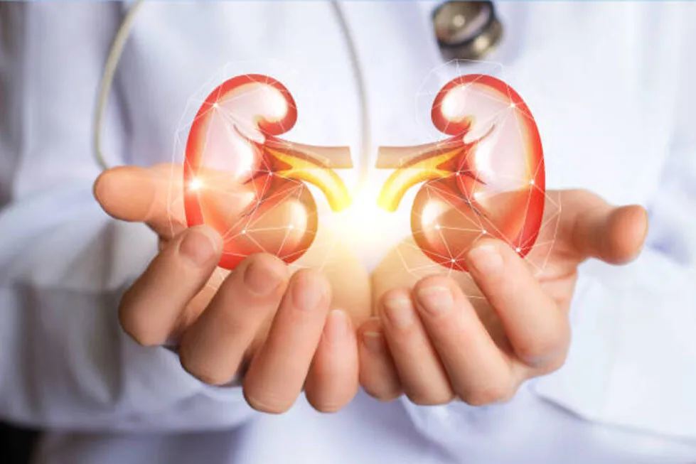 Renal Nutrition in Pune – Expert Guidance for Kidn...