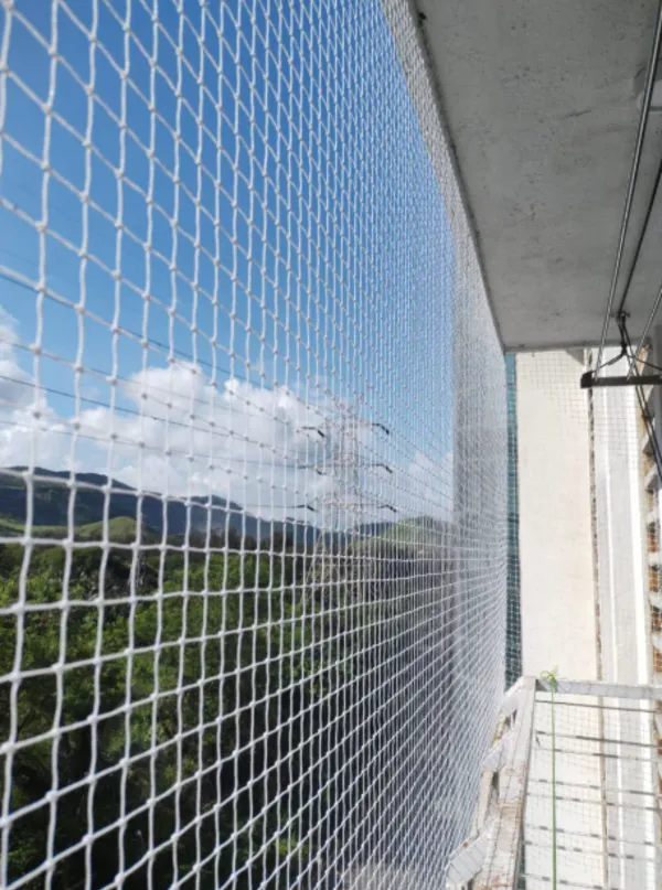 Bird Net in Nagpur – Effective Bird Control Soluti...