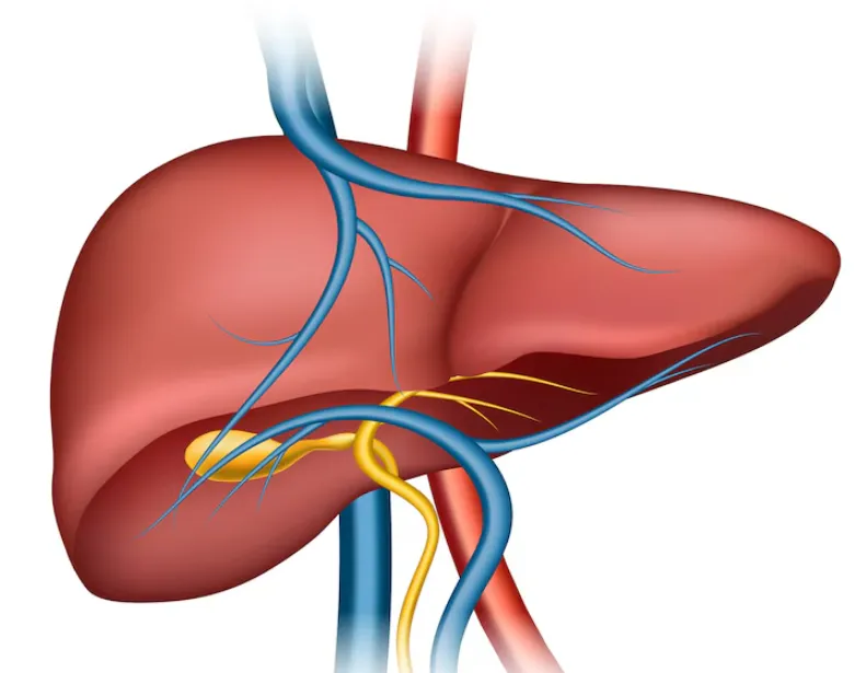 Liver Transplant Success Stories in Mumbai – Inspi...