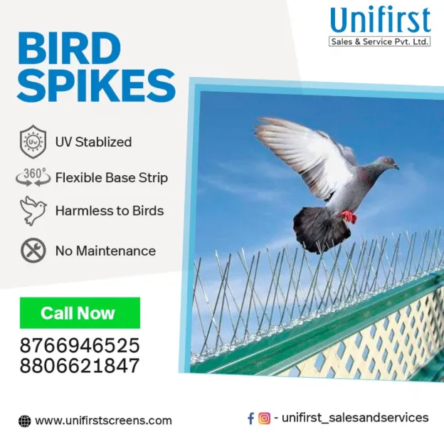 Bird Spikes in Nagpur – Effective Deterrent for Bi...