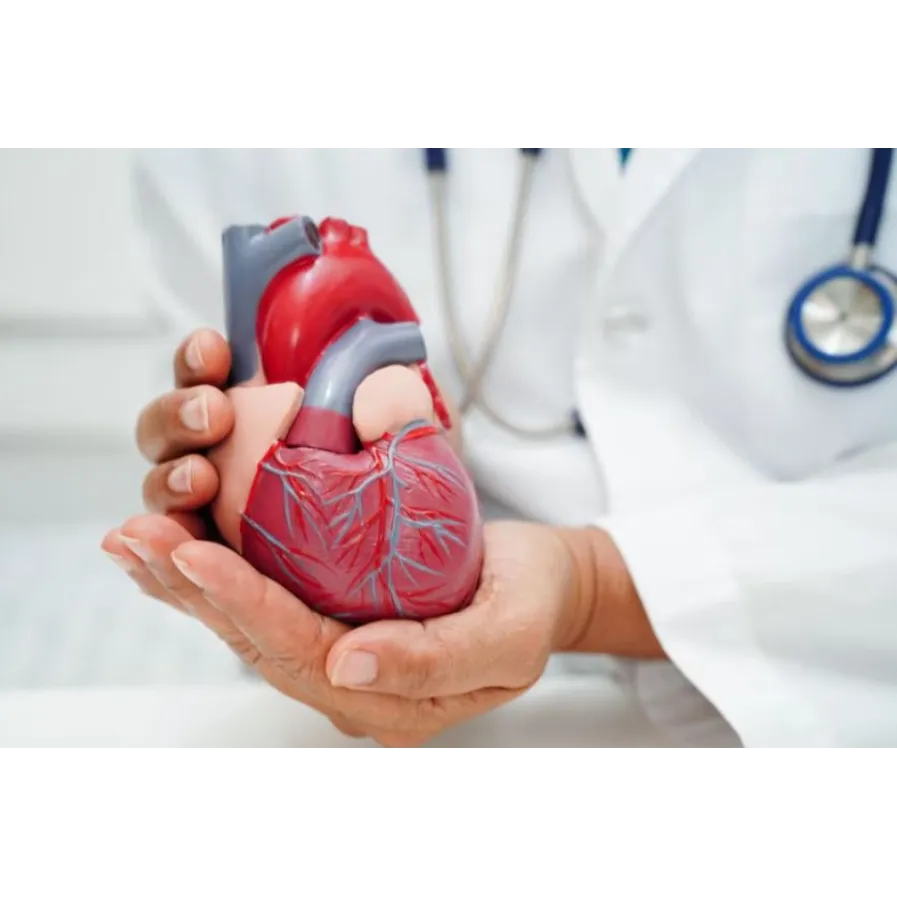 Heart Transplantation in Pune: A Second Chance at ...