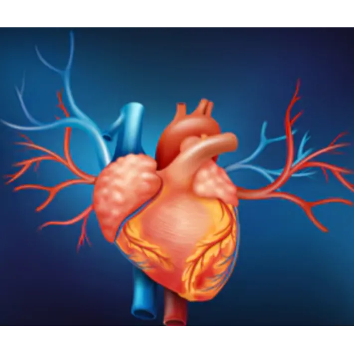 Heart Health Packages Near Tambaram, Chennai Routi...
