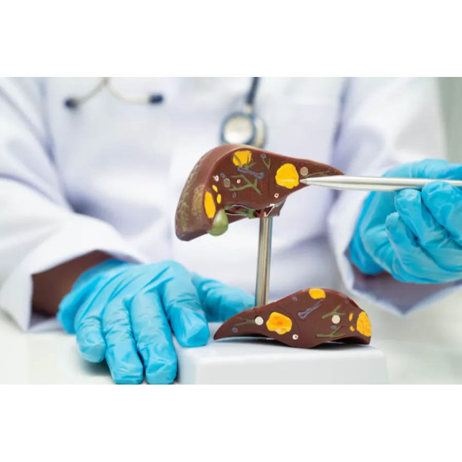 Liver Transplant Survival Rate in Mumbai – What Yo...
