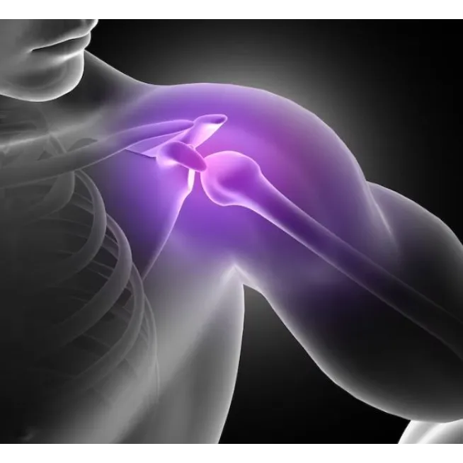 Total Shoulder Replacement Surgeon in New Tippasan...