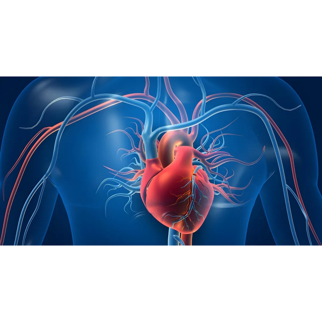 Cardiovascular Surgeon in Pune: Expertise You Can ...