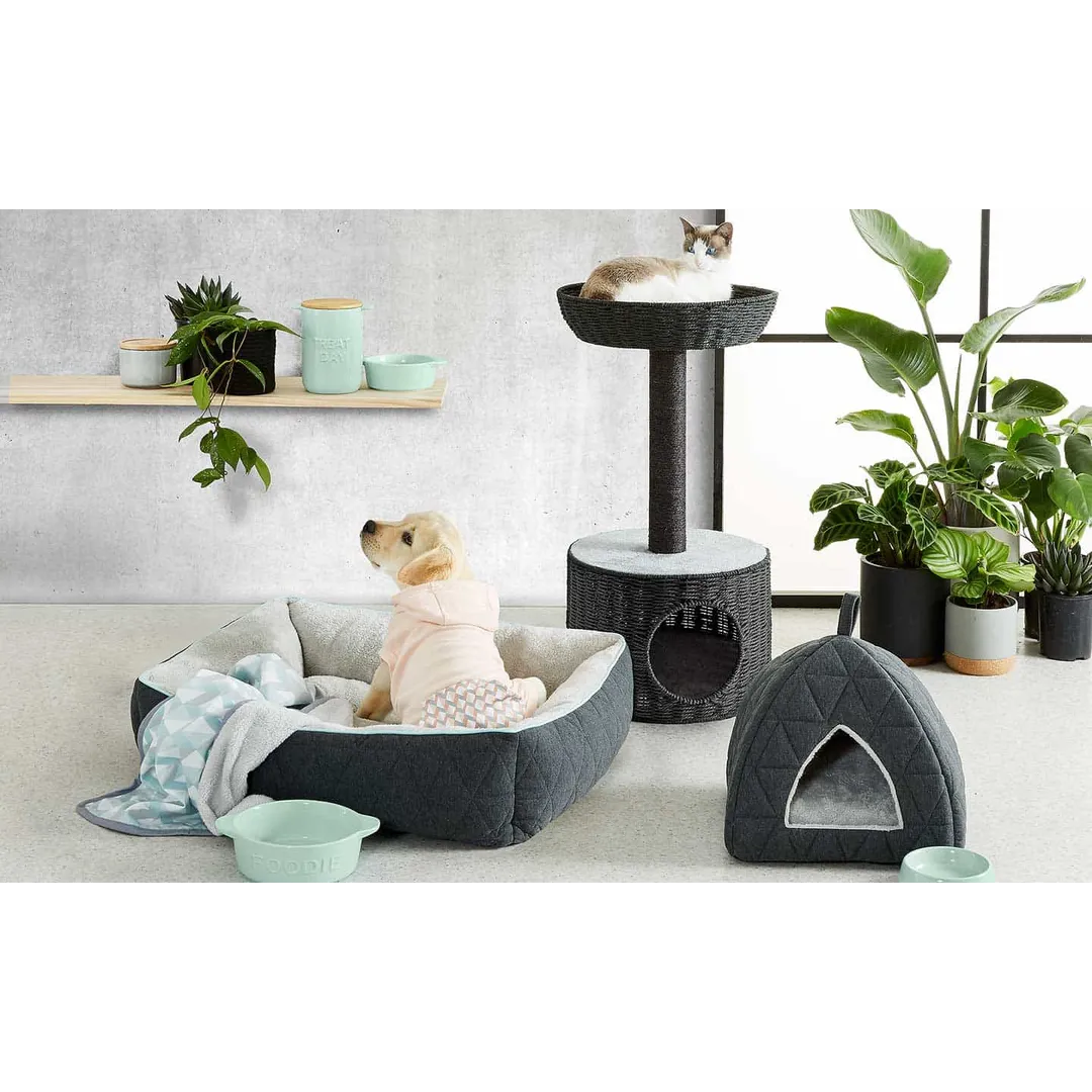 Looking for the best pet store in Malad? Discover ...