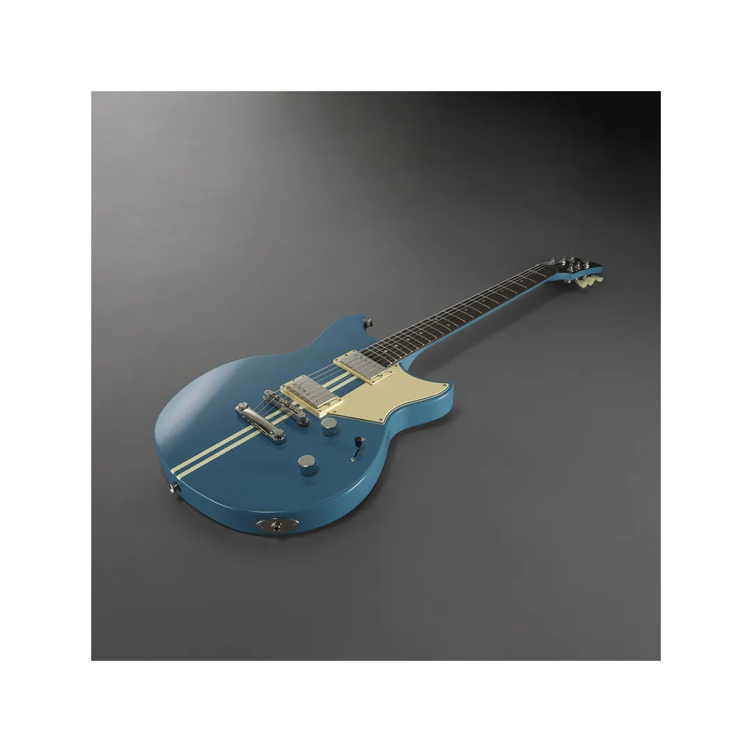 Electric Guitar Plant In Delhi Electric Guitar Pla...