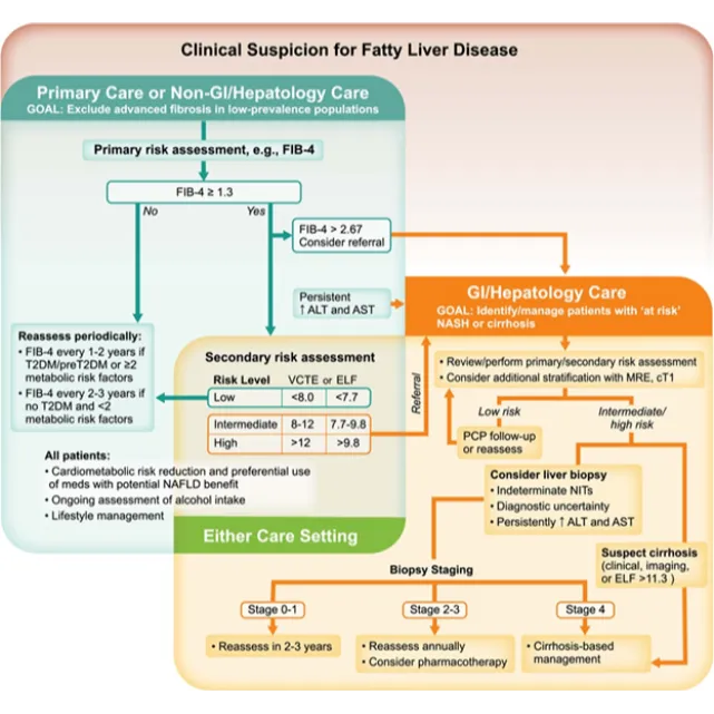 earn about liver disease severity, risk assessment...