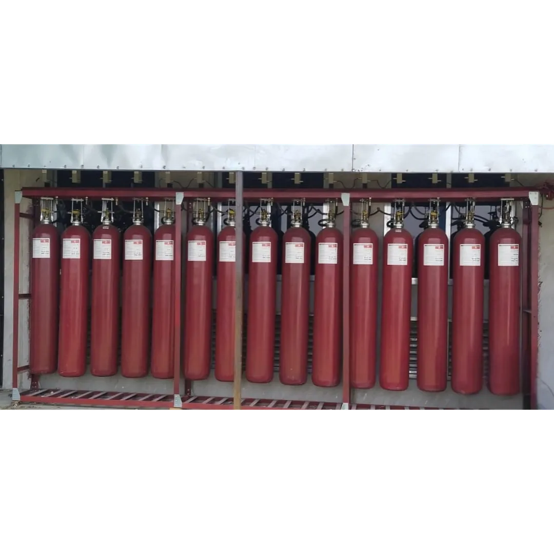 CO2 Fire Suppression System:
Because of its abili...