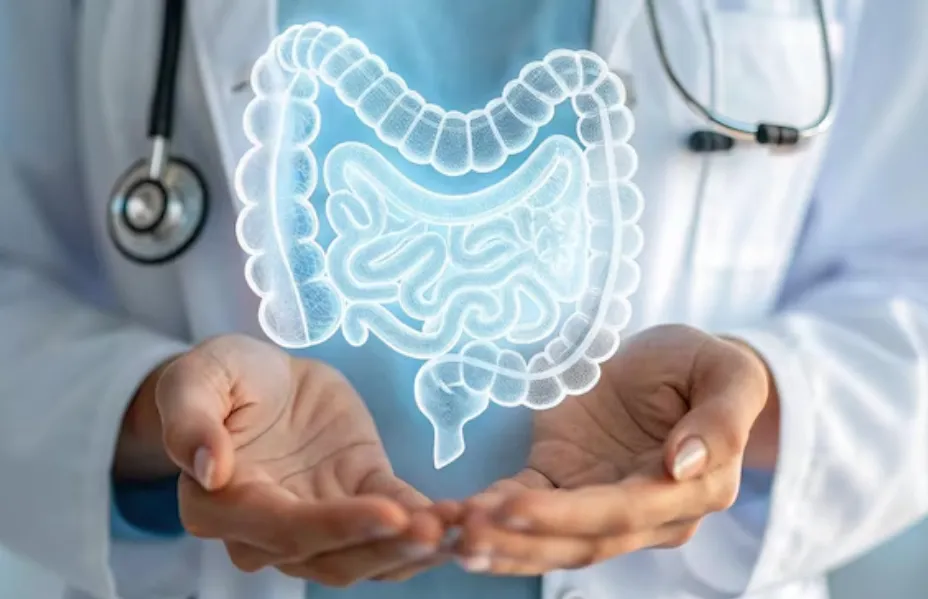 Intestinal Transplantation Consultation in Mumbai ...
