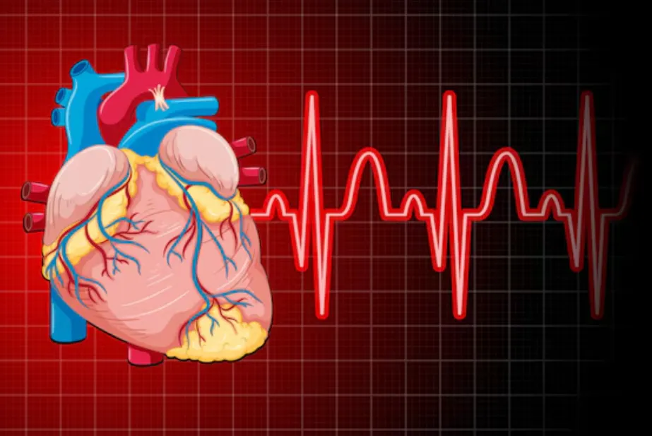 Post-Heart Attack Recovery Clinics in Chennai: Get...