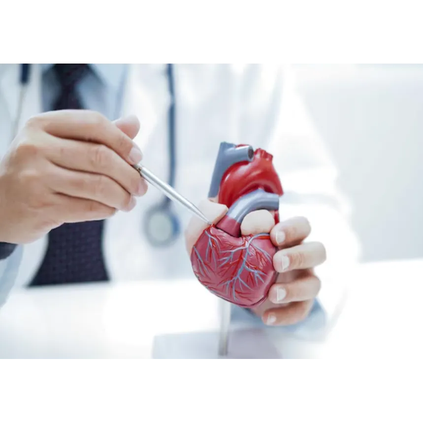 Heart Health Packages Near Tambaram, Chennai: Comp...