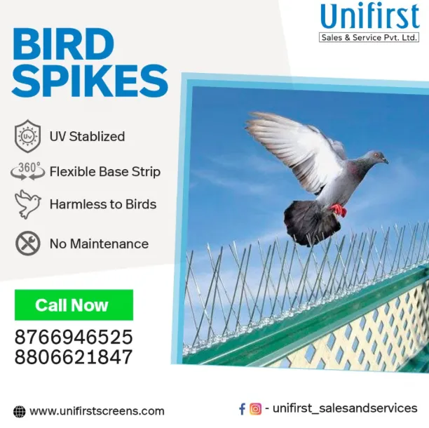 Bird Spikes in Nagpur – A Clean, Humane Bird Contr...