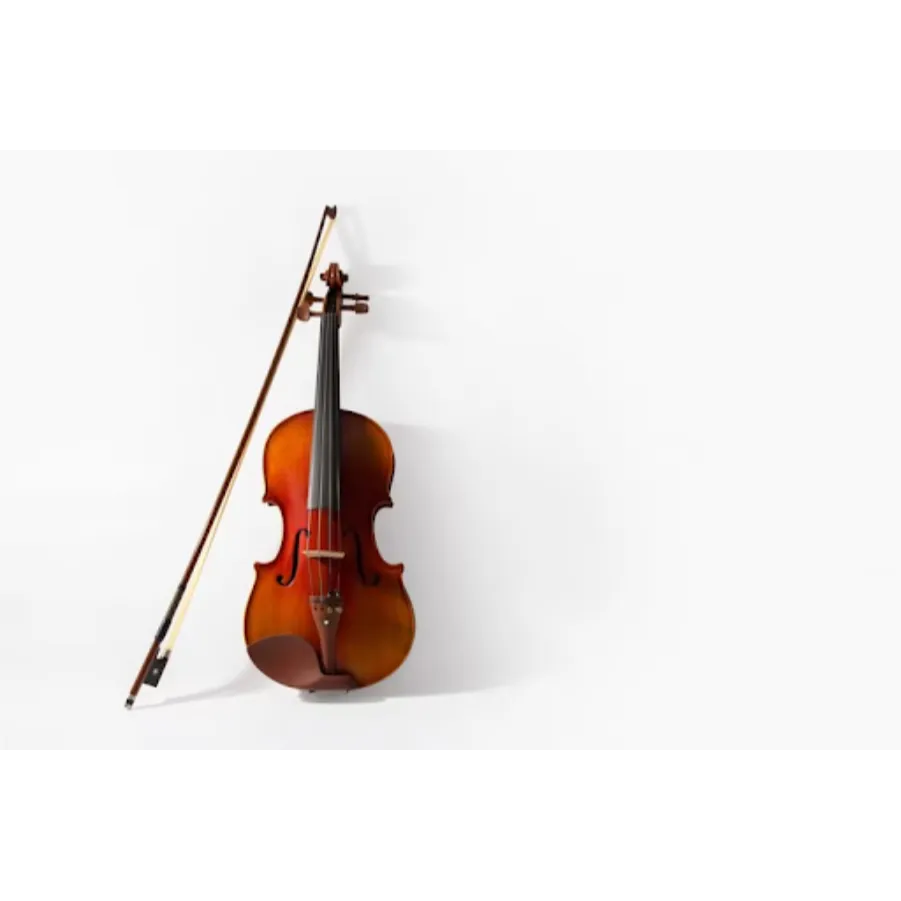 Violin Dealers In Bengaluru Need a quality violin ...