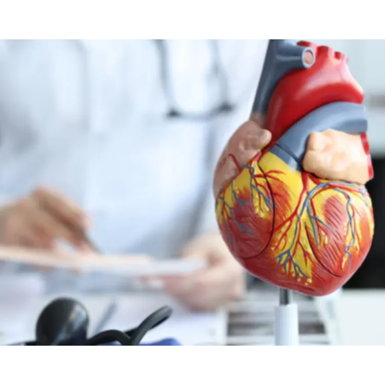 Best Heart Attack Prevention Specialist Near Me In...