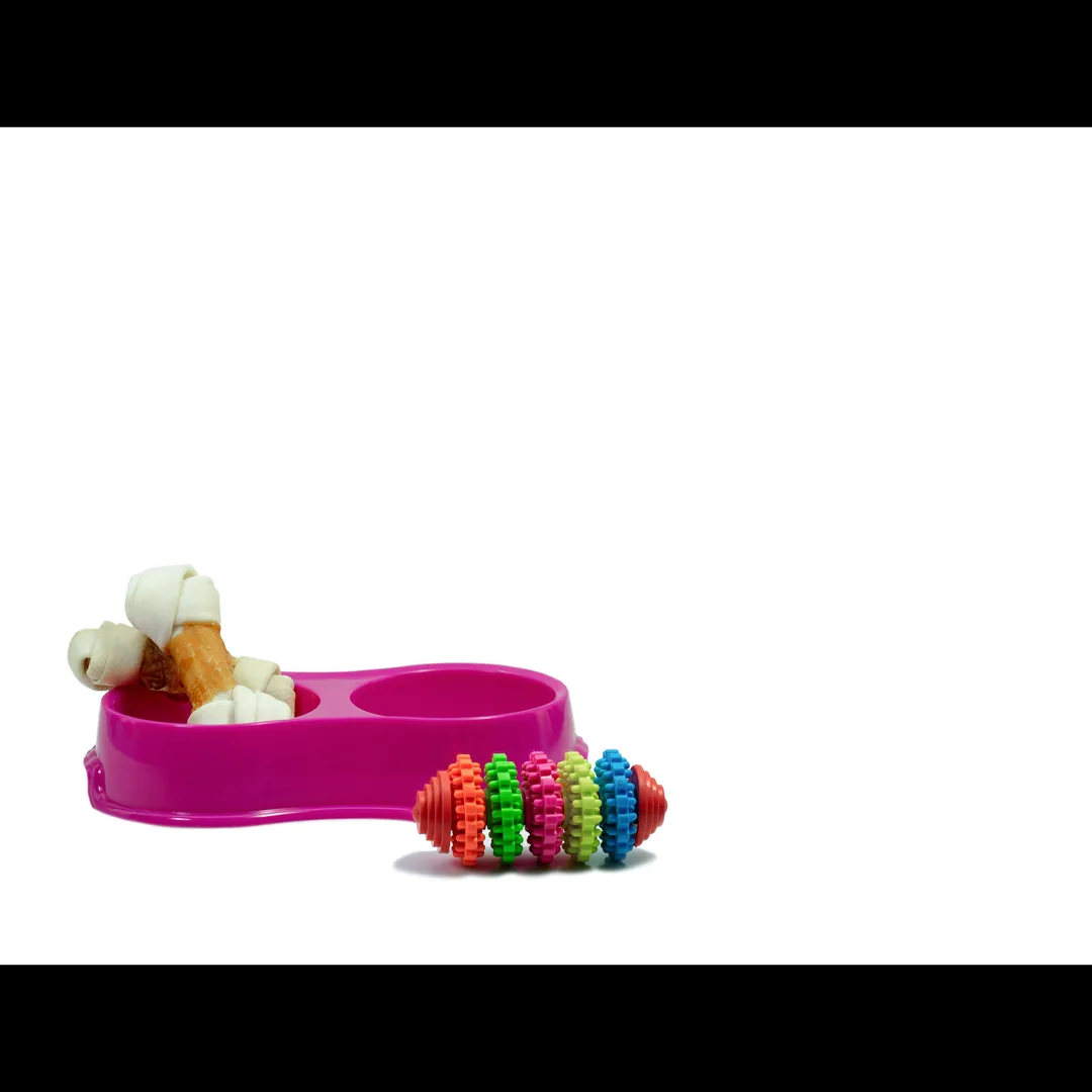 Toys for Pets in Mumbai – Playtime Essentials at S...