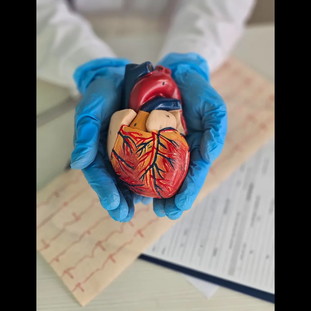 Post-Heart Attack Recovery Clinics in Chennai Reco...