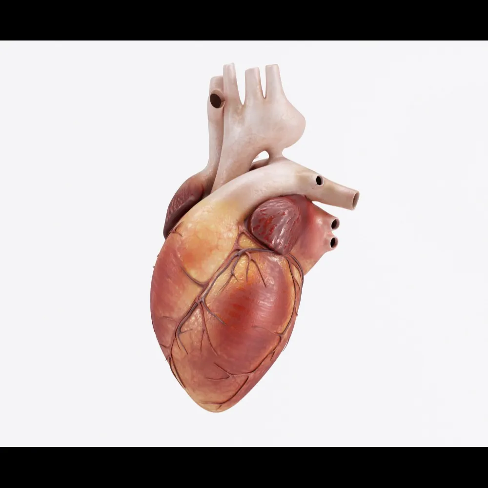 Emergency Care for Heart Attack in Chennai Hospita...