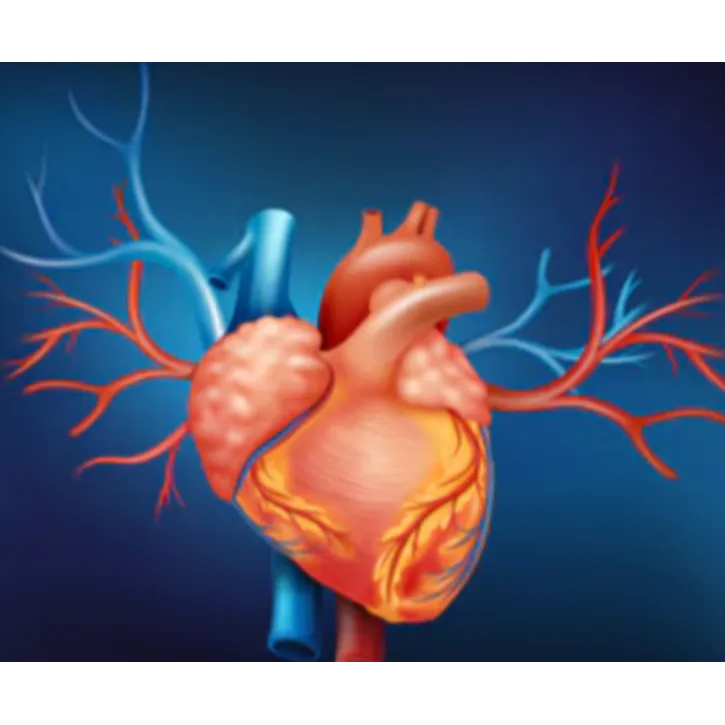 Heart Disease Care in Chennai Heart disease is one...