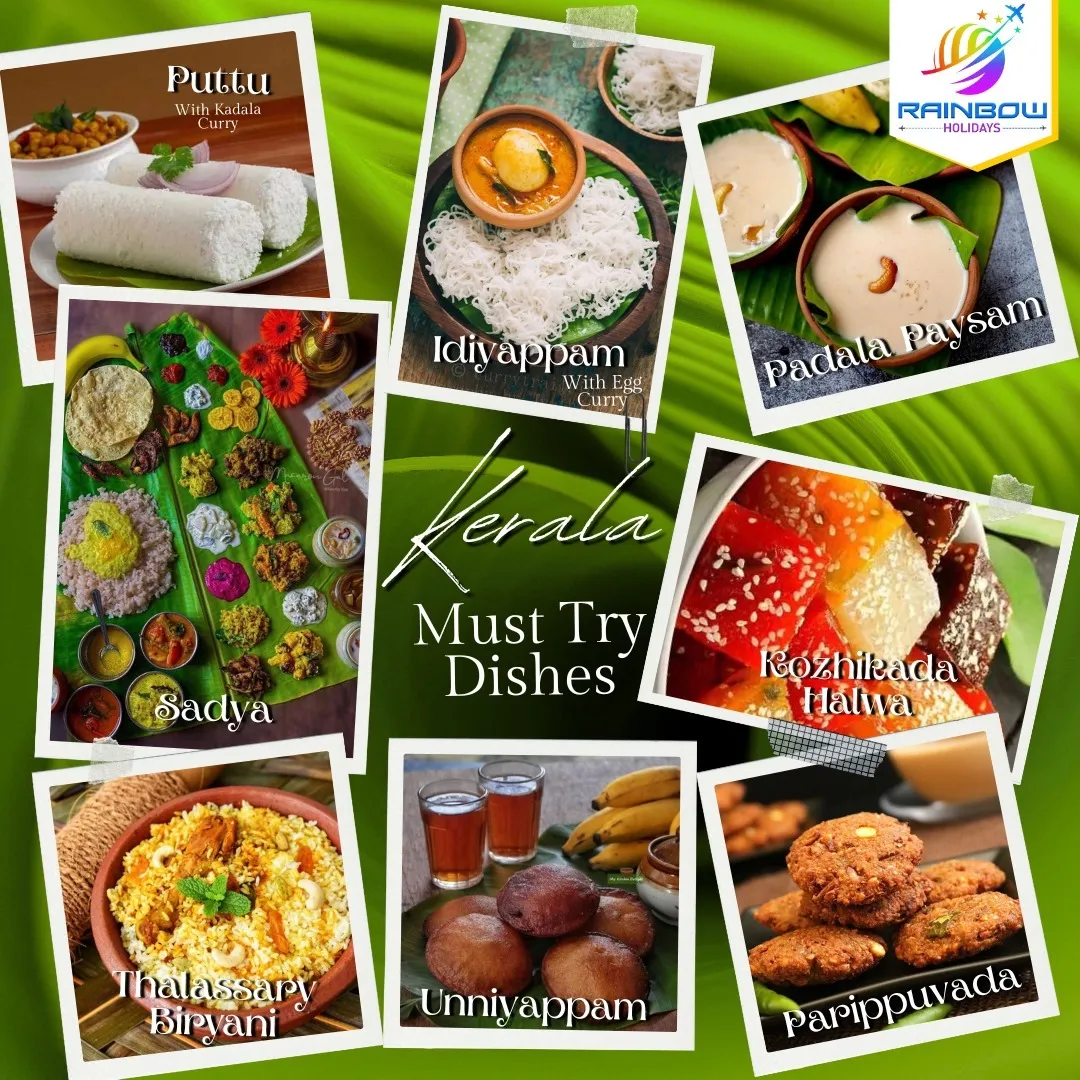 🇮🇳 Taste Kerala with Rainbow Holidays!
Planning ...
