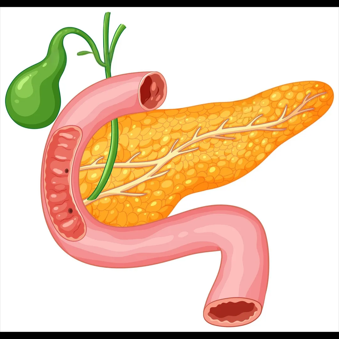 Cholecystectomy Surgeon in Mumbai – Advanced Gallb...