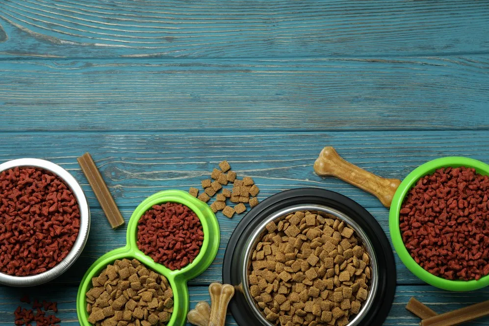 Farmina for Pets in Mumbai – Premium Nutrition at ...