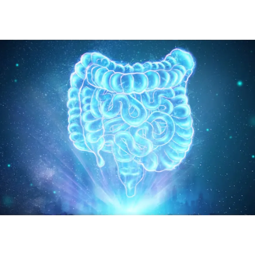 Understanding Irritable Bowel Syndrome (IBS) in Mu...