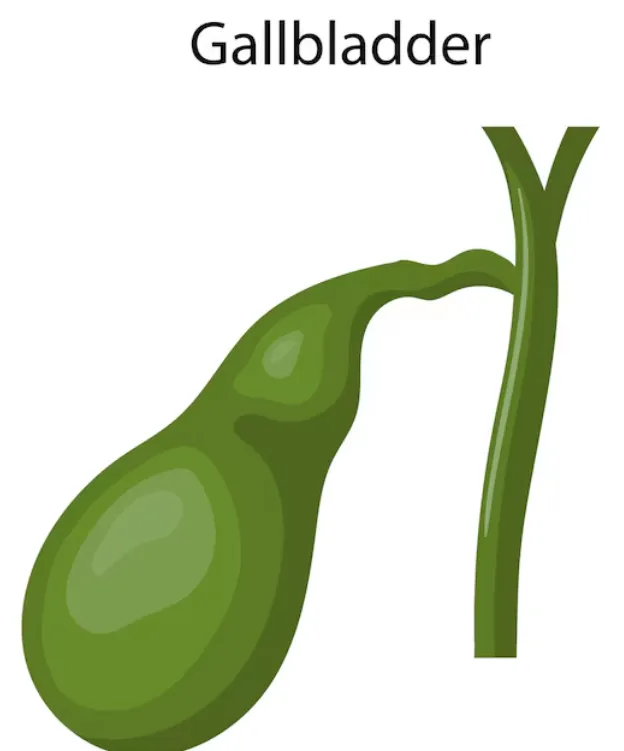 Gall Bladder Surgeon in Kolathur, Chennai for Gall...