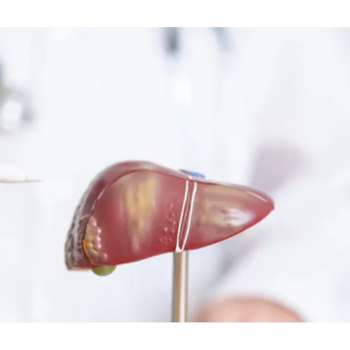 Non-Invasive Liver Testing in Mumbai – Safe and St...