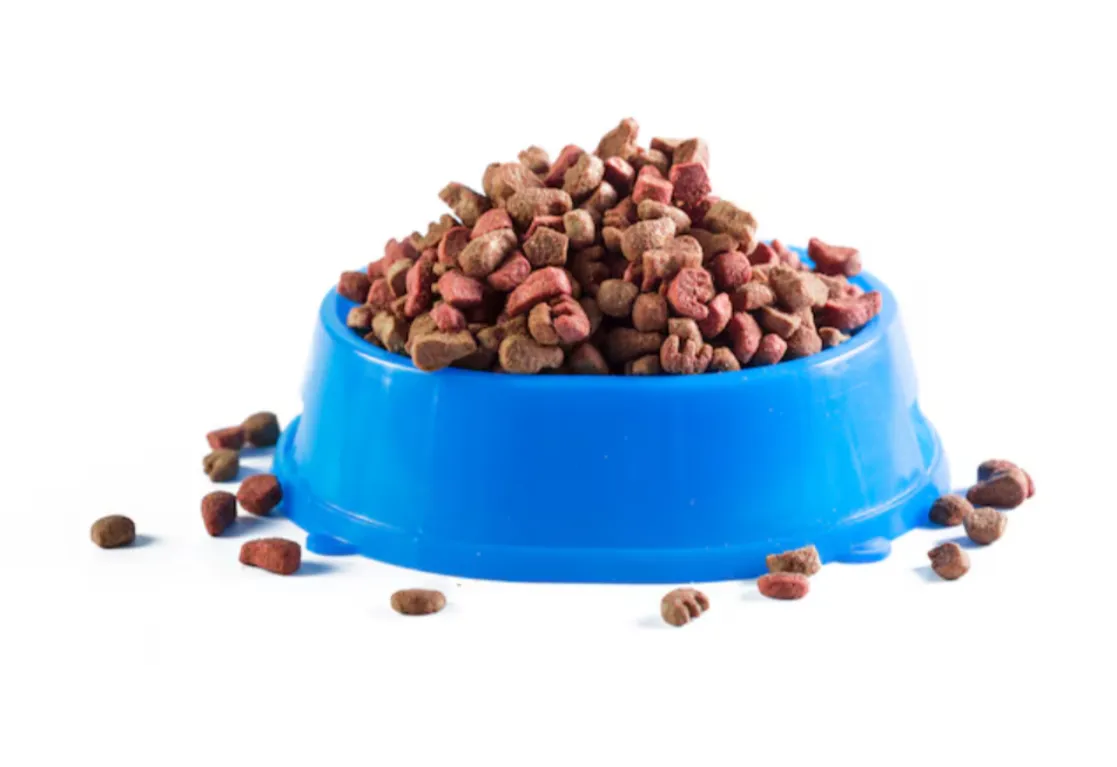 Dog Food in Mumbai – Nourish Your Pup the Right Wa...