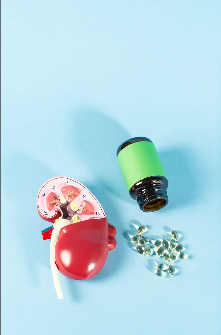 Renal Nutrition in Pune – Specialized Diet Support...