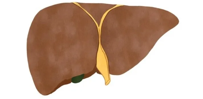 ✅ Expert Liver Transplant Services Now Accessible ...