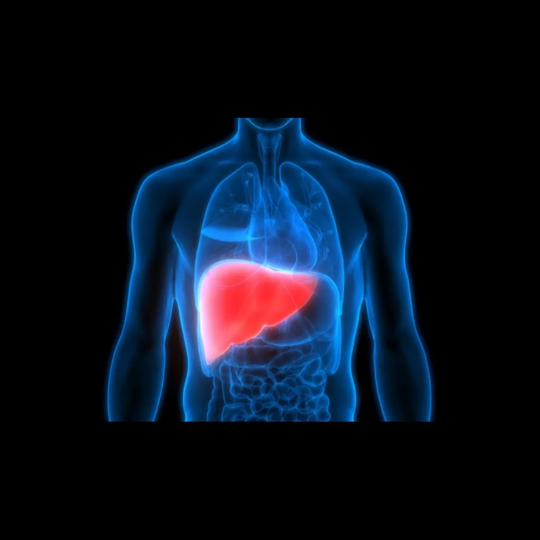 Liver Transplant Services Update | Dr. Chetan Kala...