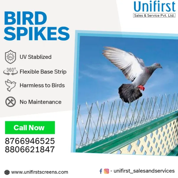Bird Spikes in Nagpur – Say Goodbye to Unwanted Vi...