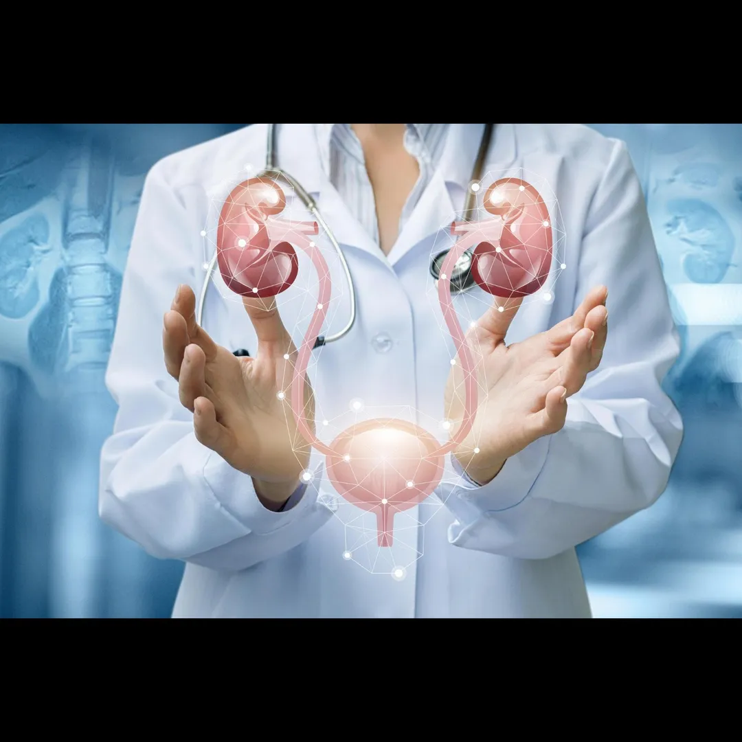Trusted Urology Consultant For Urinary Issues in C...