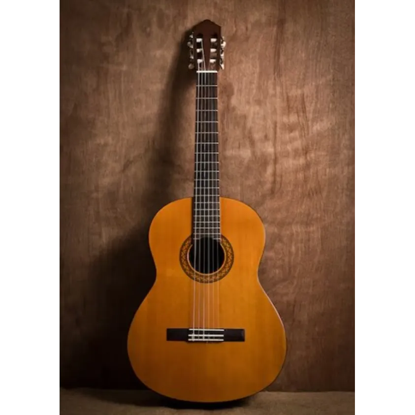 Acoustic Guitar Dealers in Bengaluru – Folk, Class...