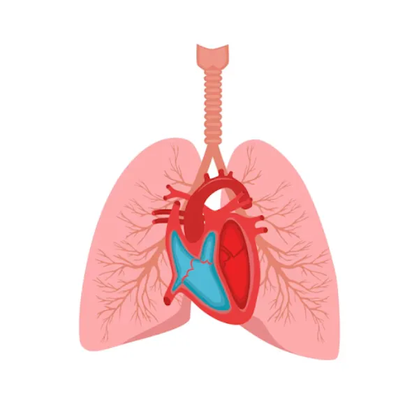 Cardiothoracic Surgeon in Pune – Expert in Chest, ...