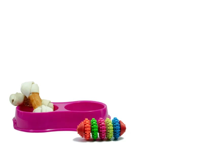 Toys for Pets in Mumbai – Keep Your Pets Engaged a...