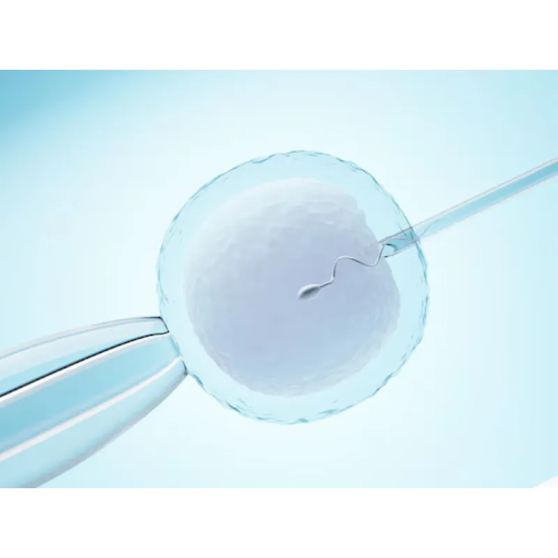 IVF Treatment in Thane – Helping You Start a Famil...