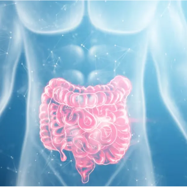 Chronic Diarrhoea: Diagnosis and Treatment in Mumb...