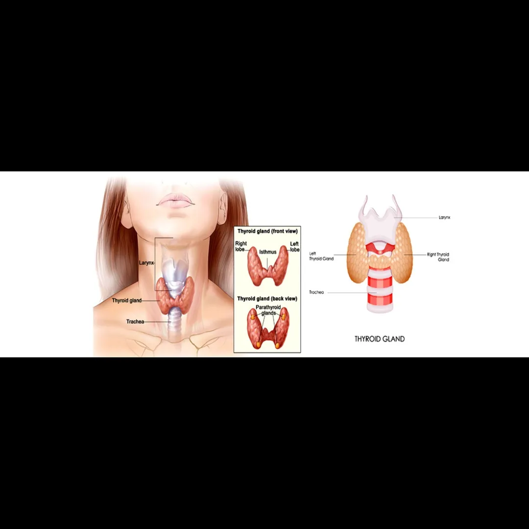 Thyroid Surgery in Navi Mumbai – Trusted Surgical ...