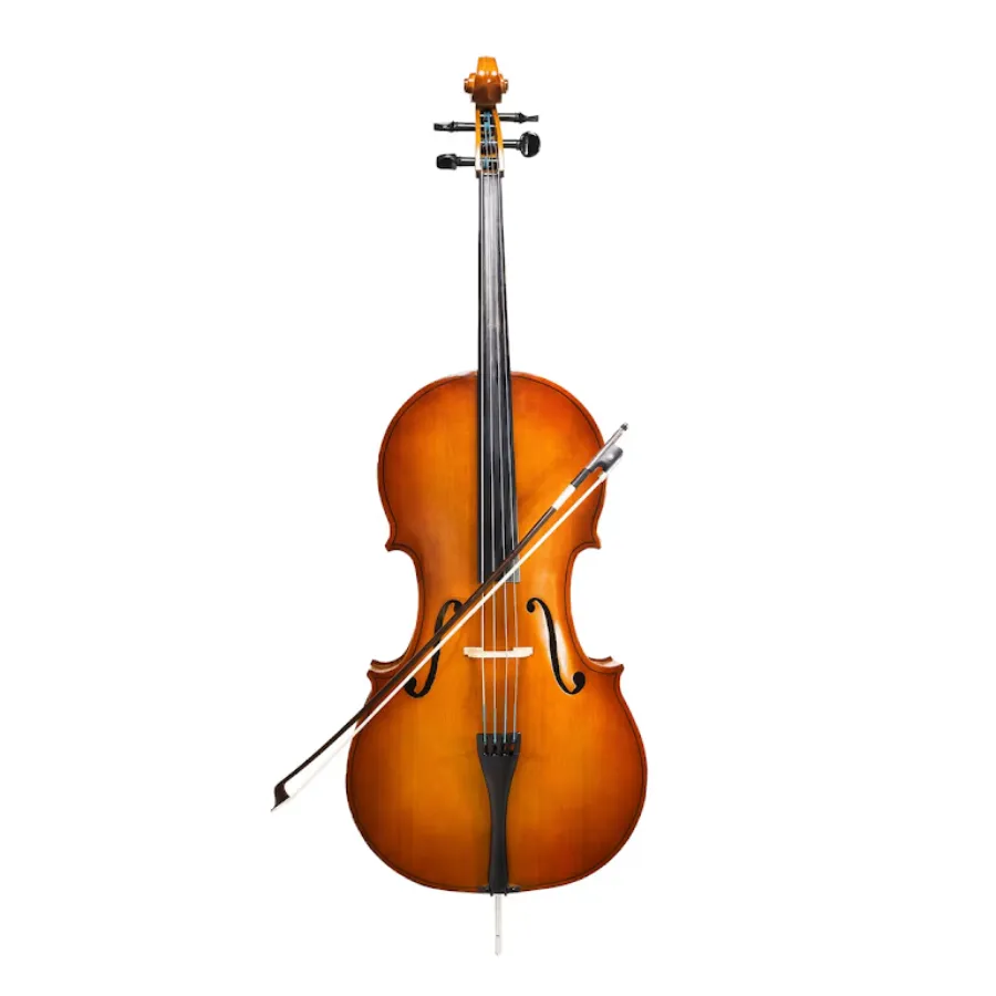 Violin Dealers in Bengaluru – Student to Professio...