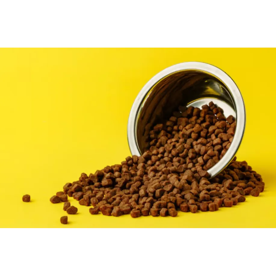 Royal Canin for Dogs in Mumbai – Precision Nutriti...