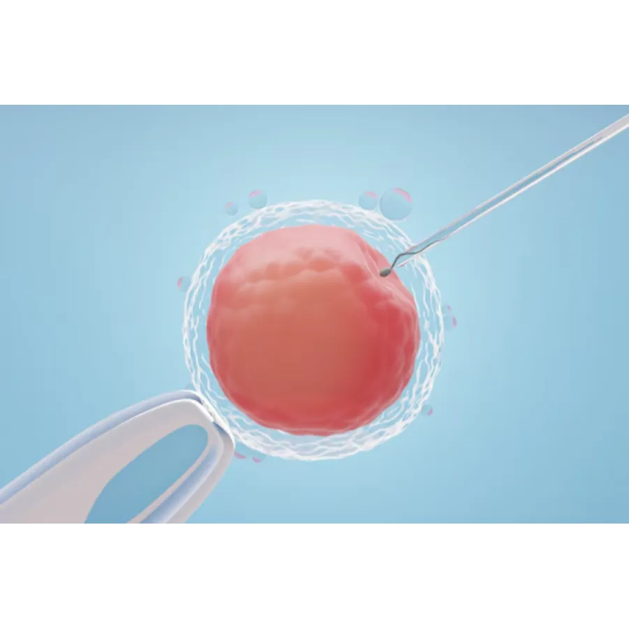 IVF Specialist in Thane – Turning Dreams Into Real...