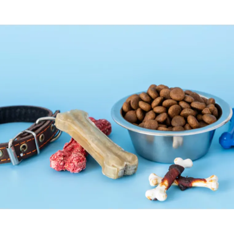 Drools in Mumbai – Balanced Diets for Pets That Th...