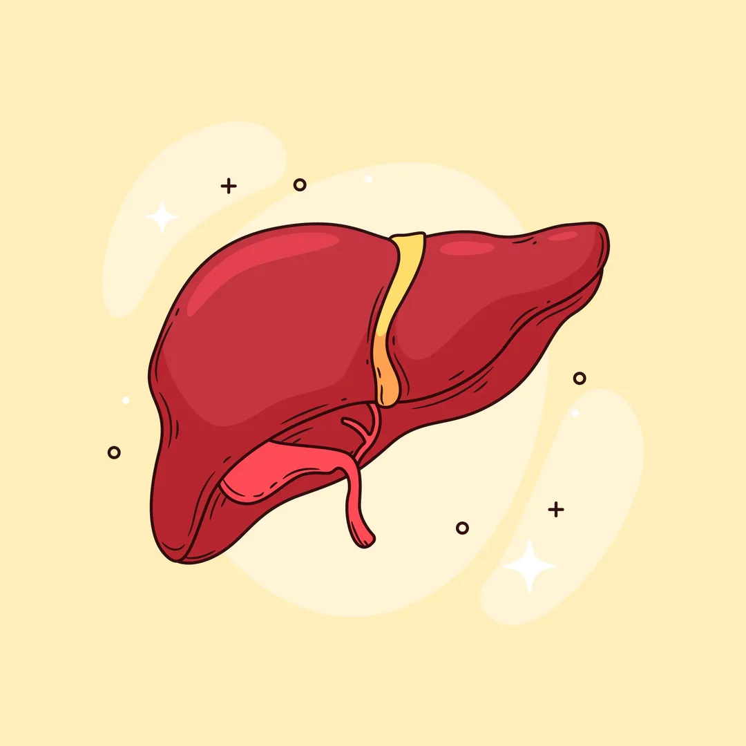 Yes, a living person can donate a part of their li...