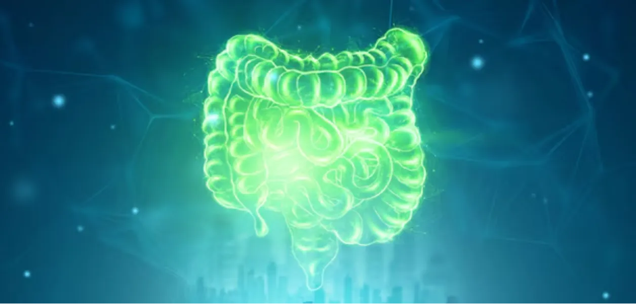 Managing Irritable Bowel Syndrome (IBS) in Mumbai ...