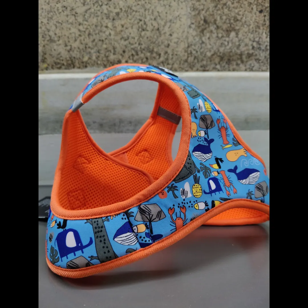 Cartoon Print Pet Harness – Brighten Up Every Walk...
