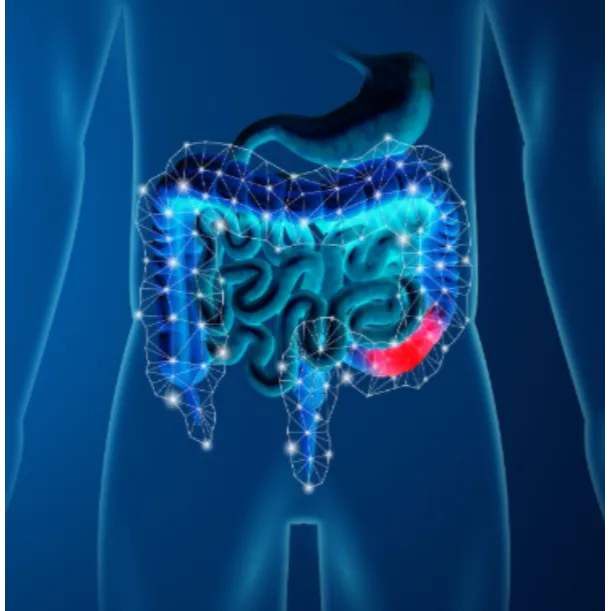 Celiac Disease Diagnosis and Care in Mumbai Celiac...