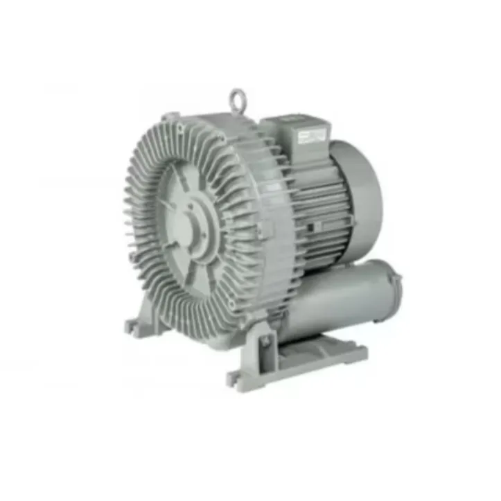 Ring Blowers Exporter in Delhi – Oil-Free and Sile...